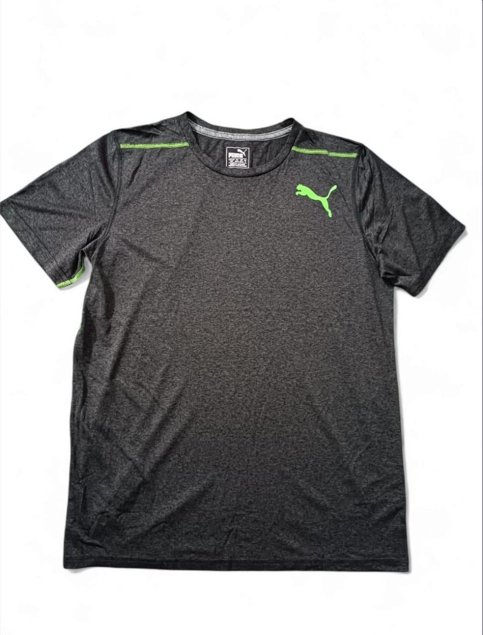 Puma Men's Dry Fit T-Shirt